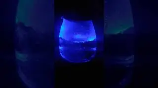 Electric Kettle (BPA free)
