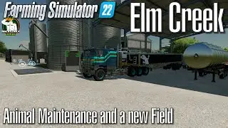 FS22 - Elm Creek  - Animal Maintenance and a New Field - #109