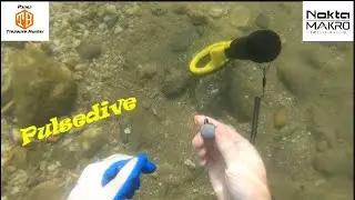 Nokta pulsedive finds coins and fishing weights