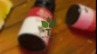Terra Mana Essential Oils