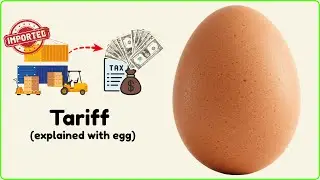 Who Really Pays The Harsh Price? Tariffs Explained With Egg