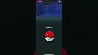 Pok&eacute;mon Go (Stunfisk)