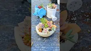 Succulent Arrangement in a Cute Pot 🌵✨ | Small Plants, Big Charm #succulent