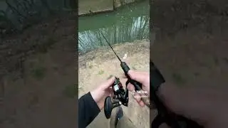 p&ecirc;che a la truite en rivi&egrave;re