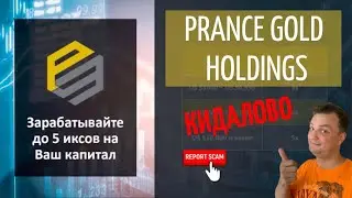 Prance Gold Holdings. Опять чудо роботы. Финансовая пирамида или хороший проект? Сколько проживет?