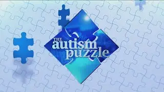 The Autism Puzzle