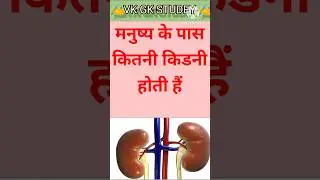 Gk Questions In Hindi l Gk Questions And Answers l #gk #mcqncert #generalknowledgequestions #mcqsser