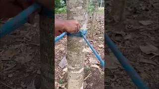 You Won't Believe How Easy!