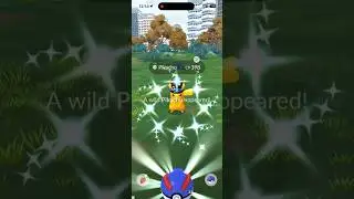 Pokemon Go New year&rsquo;s 2026 Premium Timed Research  #pokemongo #shinypokemon #shinypikachu #gaming