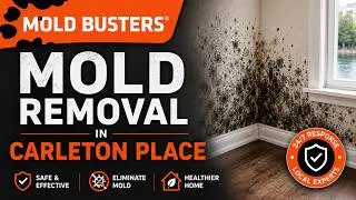 Mold Removal in Carleton Place - Mold Busters