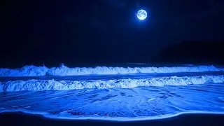 Deep Night Shore with Soft Ocean Sounds for Deep Sleep and Complete Mind Body Relaxation