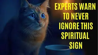 indoor cat behavior meaning&mdash;experts warn to NEVER ignore this SPIRITUAL sign