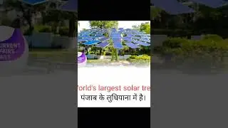 world's largest solar tree 🌴 (like & subscribe)
