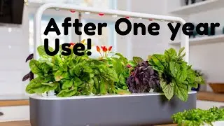 Honest Review After 1 Year Of Using Click and Grow Indoor Planting