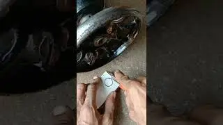 For more interesting video please subscribe to my channel Mr. Fitter.👍🥰
