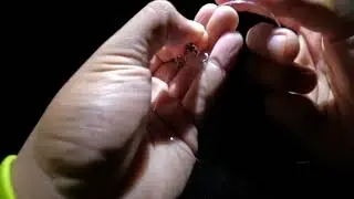 Quick Night Time Fishing | Hawaii | Dunking | Whipping |