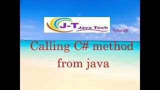 How call dll in java