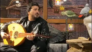 قلوب مثل الحجر - قال المعنى امانه ماتسير ياطير الفارس || يحيى الجبل || جلسة طرب