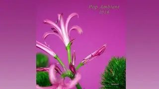 Cologne Tape - Moorpark 'Pop Ambient 2014' Album