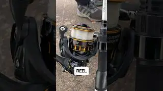 One of the best reels on the market? Daiwa BG #daiwa #fishingreels #gearreview
