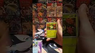 day one of opening black bolt #pokemon #blackandwhite