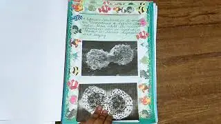 Project on cancer class 12 project file #projectfile #viva #cbse 