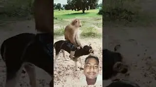 Great video Best SokYaa,OG,Pao s Mom Are Famous Around The World #shorts #shortvideo