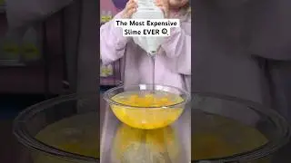 I made the most expensive slime EVER 🍳
