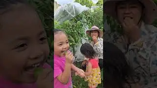 Kids 1st time picking & tasting Hog Plum