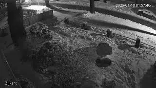 Vandalisme sneeuwpop in Oosterwolde Buttingasingel 10 januari 2026
