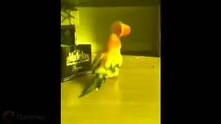 bird wants it and needs it