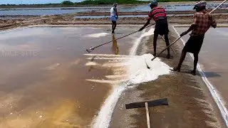 Natural Salt Making Process/இயற்கையான முறையில் உப்பு தயாரிப்பது எப்படி பார்க்கலாமா