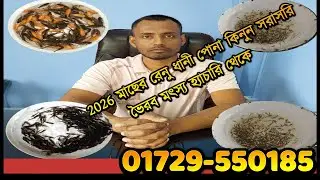 2026 মাছের ধানী পোনা কিনুন সরাসরি ভৈরব মৎস্য হ্যাচারি থেকে মাছ চাষপুকুর প্রস্তুতি পরামর্শ নিন ফ্রিতে