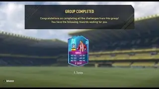 PREMIUM LOAN 91 FERNANDO TORRES CHEAPEST METHOD!