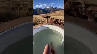 Imagine sitting in a hot tub being surrounded by llamas and alpacas&hellip;🦙 @fermirandas #shorts #peru