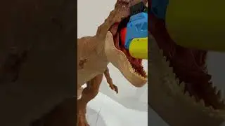 NERF RIVAL PATHFINDER