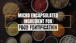 Micro-encapsulated Ingredient for Food Fortification | Umang Global Group Pvt Ltd.