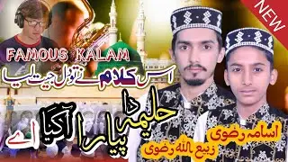 Haleema da peyara agya ay#naat#rizvi Bradran Gujranwala#new naat 2025#qari shahid mehmood qadri 