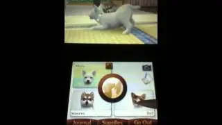 Nintendogs+Cats Review On 3DS XL