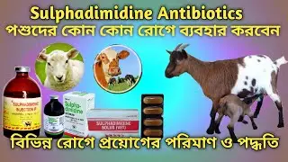 Sulphadimidine use for Animals সালফাডিমিডিন কোন কোন রোগে কত পরিমাণে প্রয়োগ করবেন।