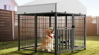Built Like a Fortress! 🏠 ROOMTEC Outdoor Dog Run Review