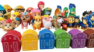 LEARN COLORS🎨 & NUMBERS with Paw Patrol Toys🐾