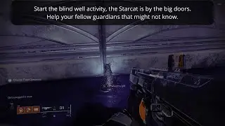 Destiny 2 Week 1 Starcat Locations