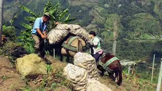 Colombia, Antioquia y Medellín- El Profeta y Dinamita