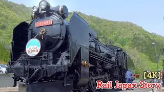 View of Class D51 Steam Locomotive maintenance demonstration at Minakami Station |Train Japan