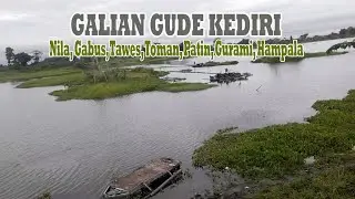 Paser Mania || Lokasi Menembak Ikan @paserpemusnahikan