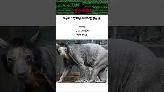 모든게 기형화된 체르노빌 '붉은 숲'