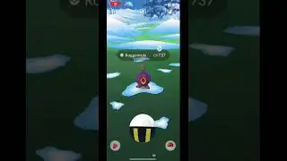 2022 DECEMBER COMMUNITY DAY SHINIES IN POK&Eacute;MON GO