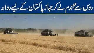 First imported wheat cargo to reach Pakistan in November