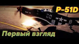 Первый взгляд на P-51D Mustang